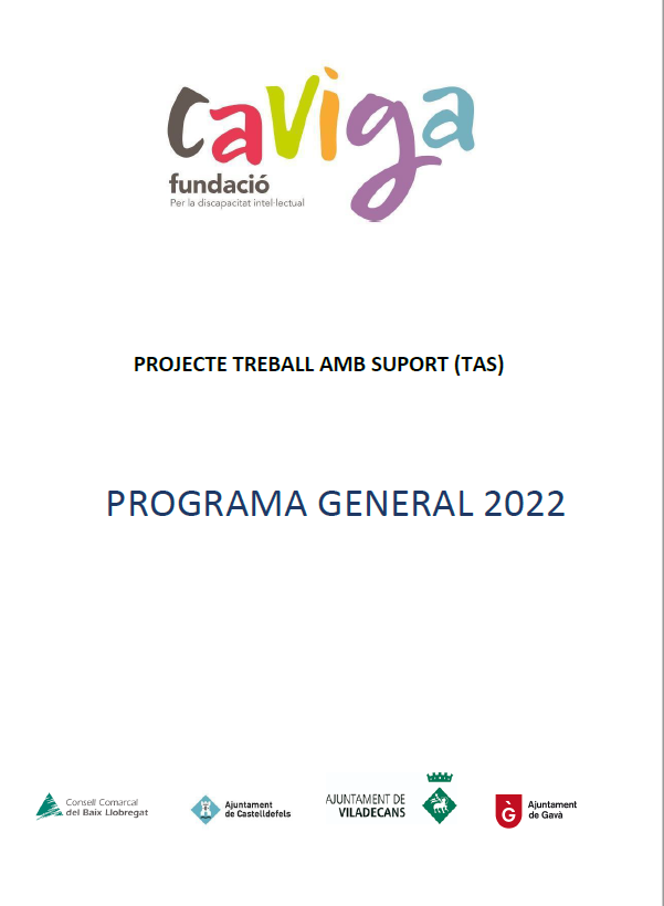Programa general Treball Amb Suport 2022